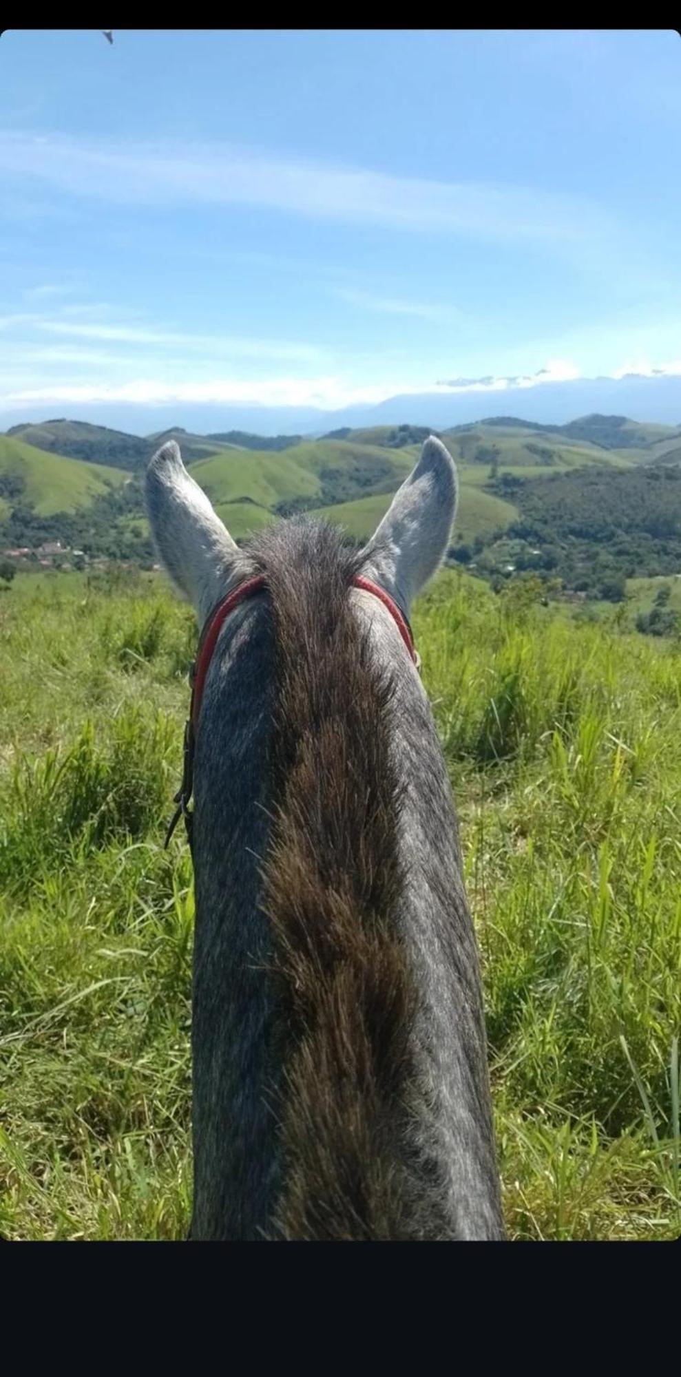 Pousada Sitio Monte Sinai São José do Barreiro Bagian luar foto