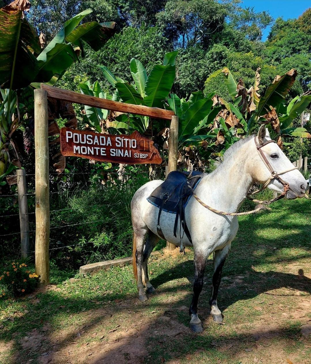 Pousada Sitio Monte Sinai São José do Barreiro Bagian luar foto
