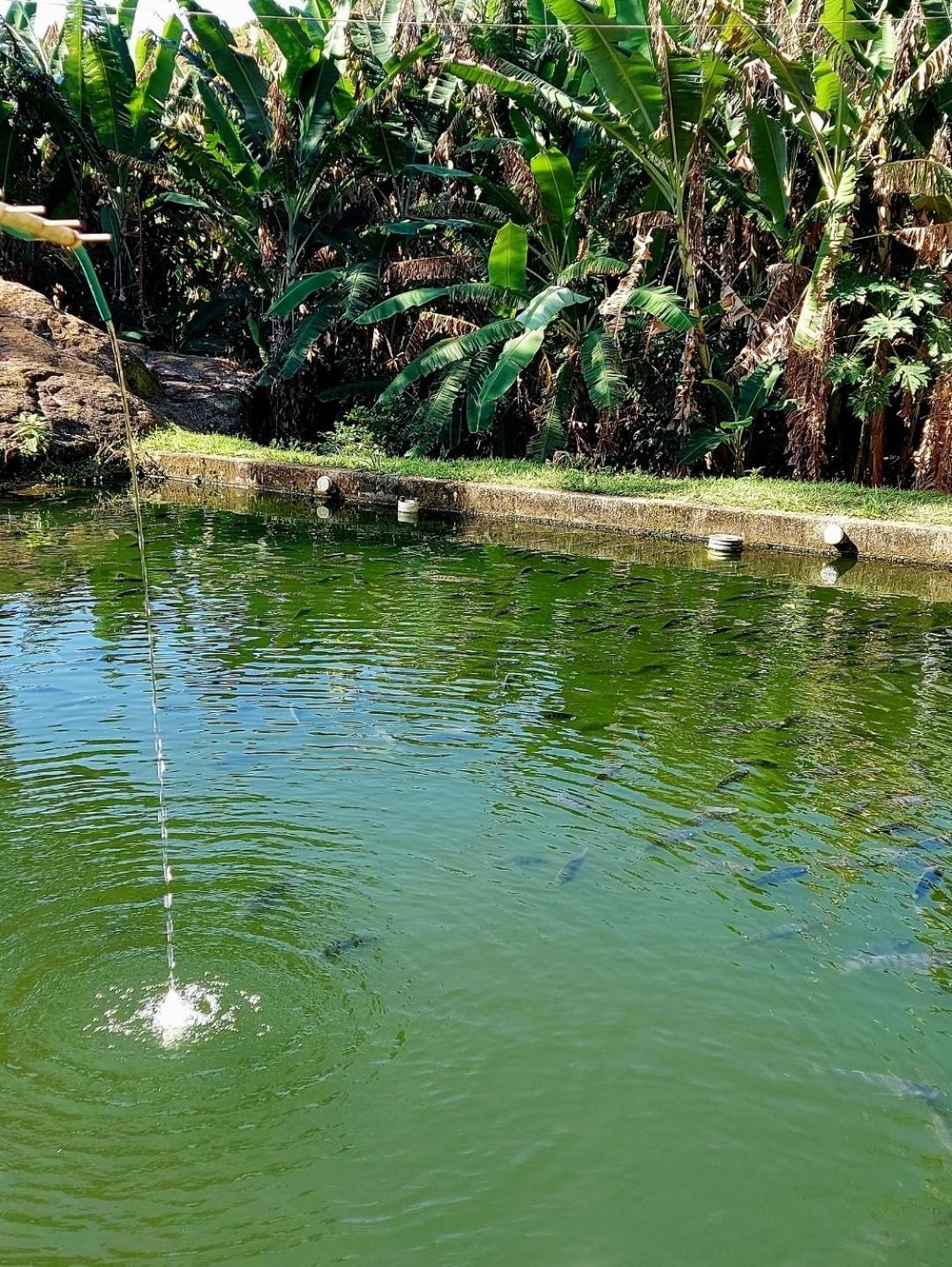 Pousada Sitio Monte Sinai São José do Barreiro Bagian luar foto