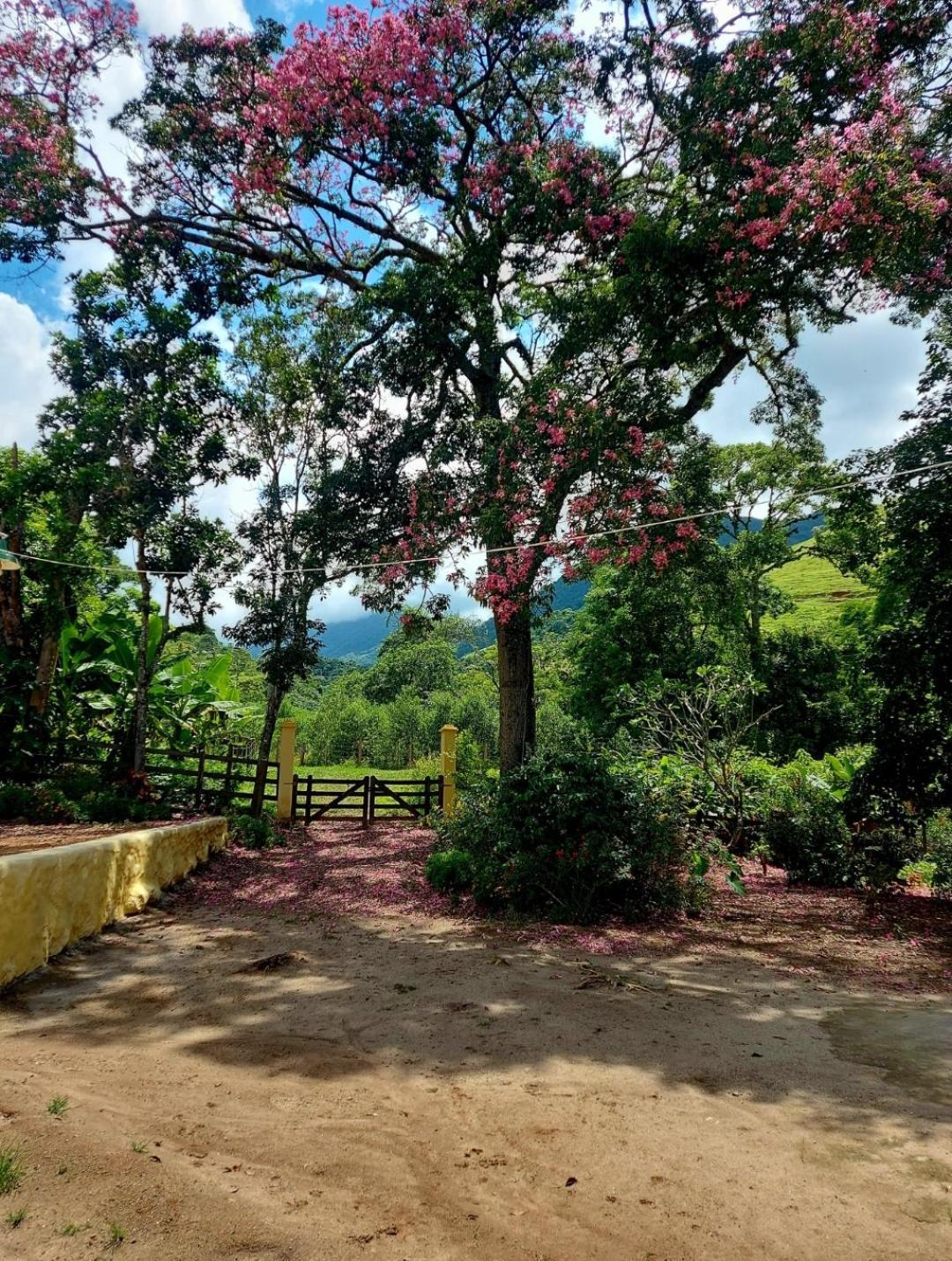 Pousada Sitio Monte Sinai São José do Barreiro Bagian luar foto
